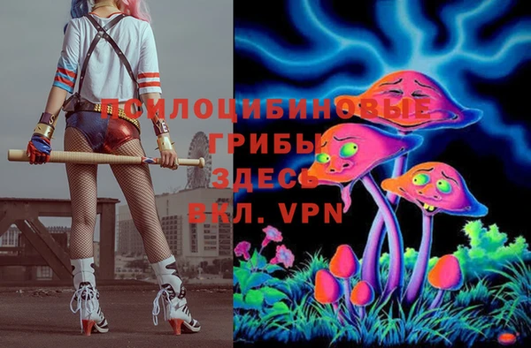 мяу мяу мука Покровск