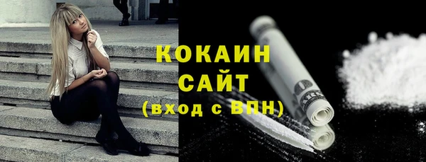 гидра Покачи