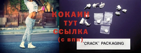 гидра Покачи