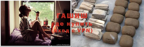 гидра Покачи