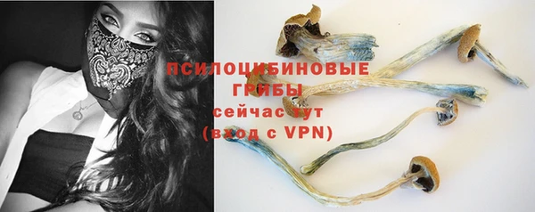 мяу мяу мука Покровск