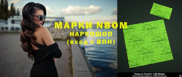 гидра Покачи