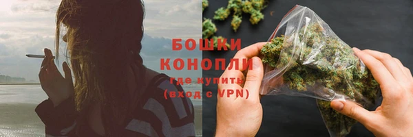 PSILOCYBIN Карпинск