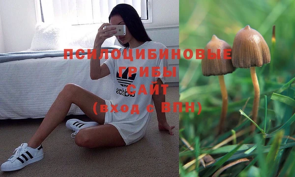 гидра Покачи