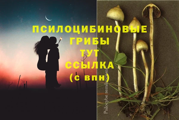 мяу мяу мука Покровск