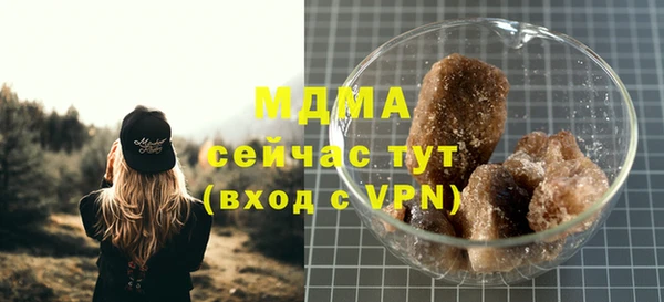 гидра Покачи