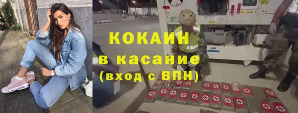 гидра Покачи