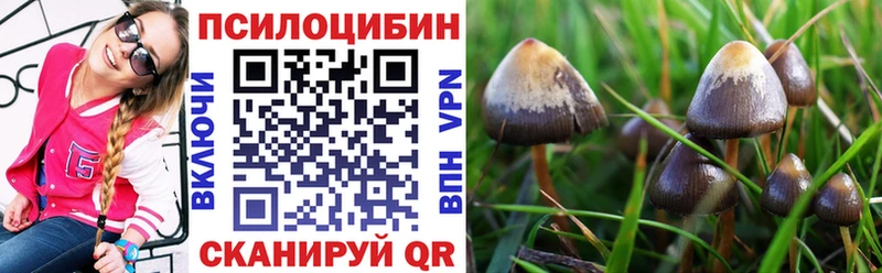 Галлюциногенные грибы GOLDEN TEACHER где найти наркотики дарк нет как зайти Козьмодемьянск